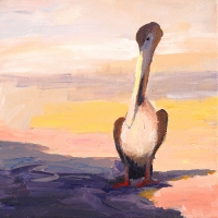 Pelicans #2